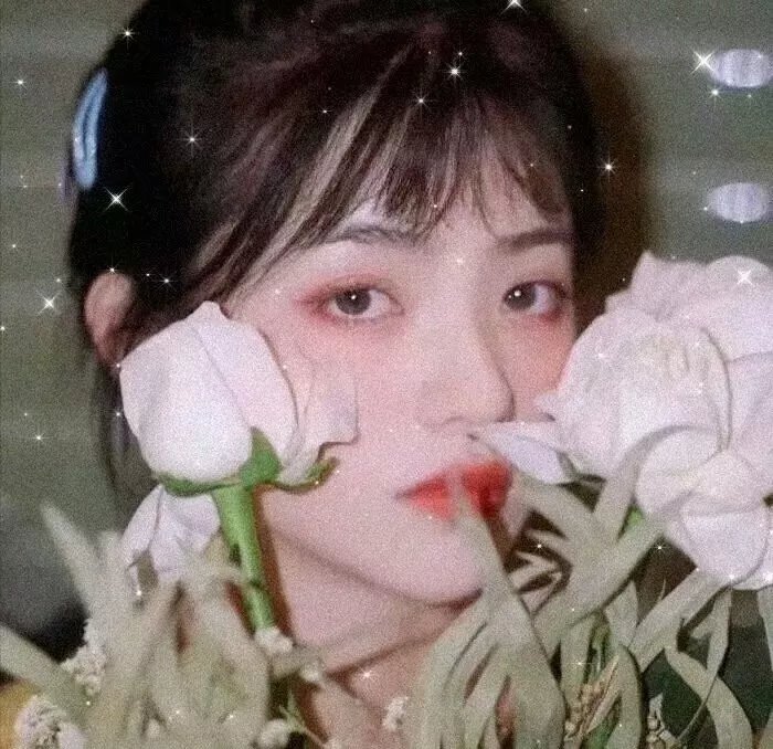 古巴春色